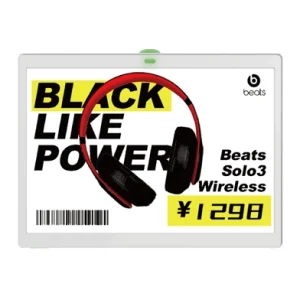 ZKC102B | ESL de 10.2'' con pantalla gráfica EPD de matriz de puntos