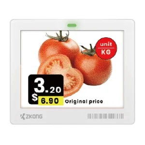 ZKC42B | 4.2'' Dot Matrix EPD Graphic Screen ESL